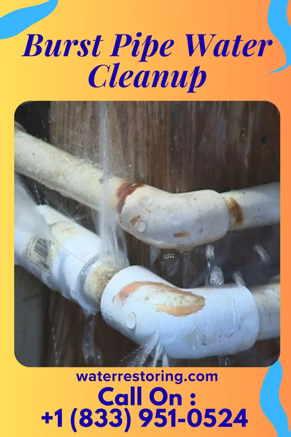 Burst Pipe Water Cleanup in Willshire, OH